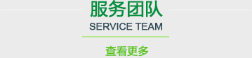 服务团队